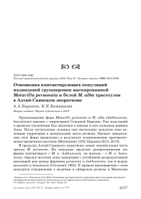 Отношения контактирующих популяций надвидовой группировки маскированной Motacilla personata и белой M. alba трясогузок в Алтай-Саянском экорегионе
