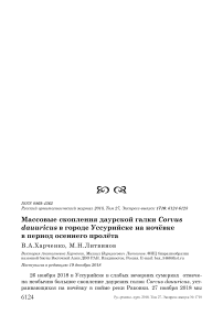 Массовые скопления даурской галки Corvus dauuricus в городе Уссурийске на ночёвке в период осеннего пролёта