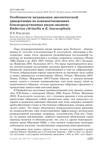 Особенности механизмов экологической дивергенции во взаимоотношениях близкородственных видов овсянок: Emberiza citrinella и E. leucocephala