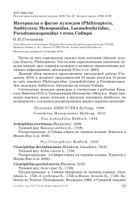 Материалы к фауне пухоедов (Phthiraptera, Amblycera: Menoponidae, Laemobothriidae, Pseudomenoponidae ) птиц Сибири