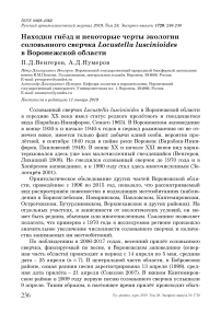 Находки гнёзд и некоторые черты экологии соловьиного сверчка Locustella luscinioides в Воронежской области