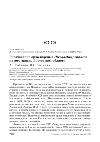 Гнездование орла-карлика Hieraaetus pennatus на юго-западе Ростовской области