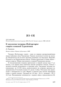 К экологии чегравы Hydroprogne caspia в Южной Туркмении