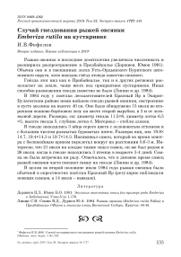 Случай гнездования рыжей овсянки Emberiza rutila на кустарнике