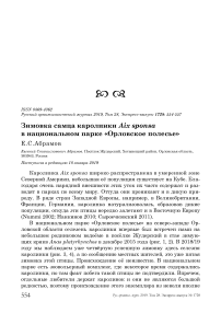 Зимовка самца каролинки Aix sponsa в национальном парке "Орловское полесье"