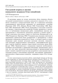 Гнездовой период в жизни канадского журавля Grus canadensis