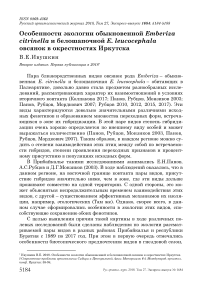 Особенности экологии обыкновенной Emberiza citrinella и белошапочной E. leucocephala овсянок в окрестностях Иркутска