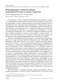 Формирование зимовок кряквы Anas platyrhynchos в городе Саранске