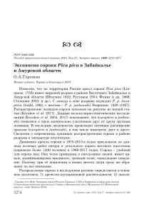 Экспансия сороки Pica pica в Забайкалье и Амурской области