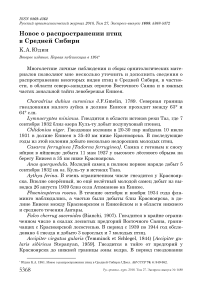 Новое о распространении птиц в Средней Сибири