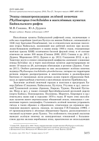 Этапы синантропизации зелёной пеночки Phylloscopus trochiloides в населённых пунктах Байкальского рифта
