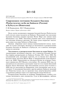 Современное состояние большого баклана Phalacrocorax carbo на Байкале (Россия) и Хубсугуле (Монголия)