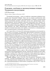 О редких, залётных и малоизученных птицах Тазовского полуострова