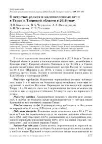 О встречах редких и малочисленных птиц в Твери и Тверской области в 2018 году