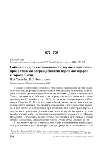 Гибель птиц от столкновений с шумозащитными прозрачными заграждениями вдоль автодорог в городе Сочи