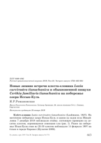 Новые зимние встречи клеста-еловика Loxia curvirostra Tianschanica и обыкновенной пищухи Certhia familiaris Tianschanica на побережье озера Иссык-Куль