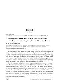 О гнездовании венценосного ремеза Remiz coronatus в сельской усадьбе на Южном Алтае