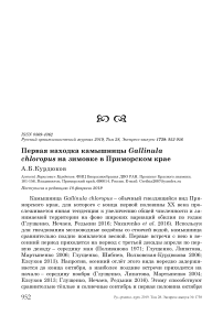 Первая находка камышницы Gallinula chloropus на зимовке в Приморском крае