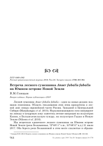 Встреча лесного гуменника Anser fabalis Fabalis на Южном острове Новой Земли