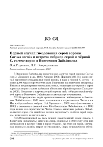 Первый случай гнездования серой вороны Corvus cornix и встреча гибрида серой и чёрной C. corone ворон в Восточном Забайкалье