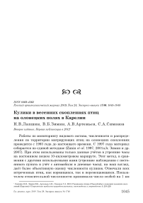 Кулики в весенних скоплениях птиц на олонецких полях в Карелии