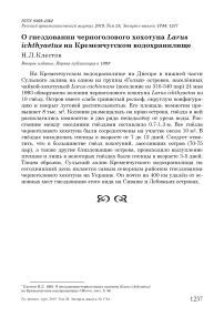 О гнездовании черноголового хохотуна Larus ichthyaetus на Кременчугском водохранилище