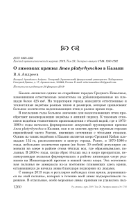 О зимовках кряквы Anas platyrhynchos в Казани