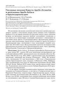 Гнездовые находки беркута Aquila chrysaetos и могильника Aquila heliaca в Краснодарском крае