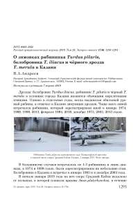 О зимовках рябинника Turdus pilaris, белобровика T. iliacus и чёрного дрозда T. merula в Казани