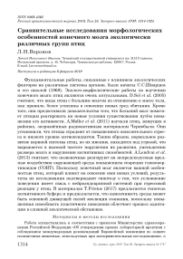 Сравнительные исследования морфологических особенностей конечного мозга экологически различных групп птиц