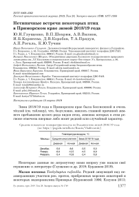 Нетипичные встречи некоторых птиц в Приморском крае зимой 2018/19 года