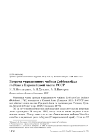 Встреча украшенного чибиса Lobivanellus indicus в европейской части СССР