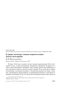 О пище птенцов славки-черноголовки Sylvia atricapilla