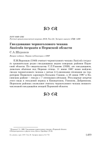 Гнездование черноголового чекана Saxicola torquata в Пермской области