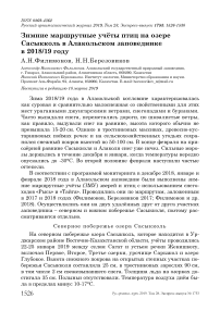 Зимние маршрутные учёты птиц на озере Сасыкколь в Алакольском заповеднике в 2018/19 году