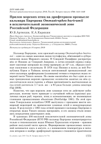 Прилов морских птиц на дрифтерном промысле кальмара бартрама Ommastrephes bartramii в исключительной экономической зоне Российской Федерации