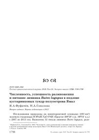 Численность, успешность размножения и питание зимняка Buteo lagopus в подзоне кустарниковых тундр полуострова Ямал