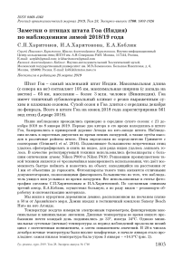 Заметки о птицах штата Гоа (Индия) по наблюдениям зимой 2018/19 года