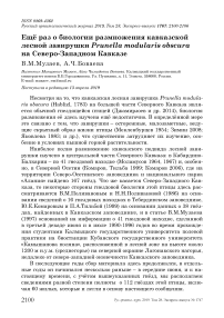 Ещё раз о биологии размножения кавказской лесной завирушки Prunella modularis Obscura на Северо-Западном Кавказе