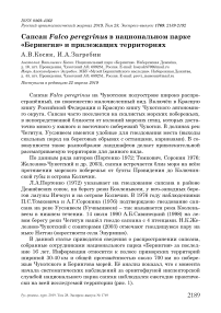 Сапсан Falco peregrinus в национальном парке "Берингия" и прилежащих территориях