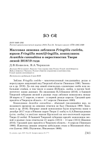 Массовая зимовка зябликов Fringilla coelebs, юрков Fringilla montifringilla, коноплянок Acanthis cannabina в окрестностях Твери зимой 2018/19 года