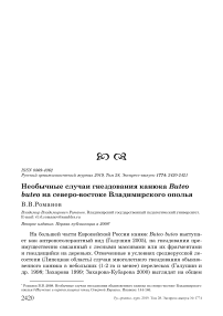 Необычные случаи гнездования канюка Buteo buteo на северо-востоке Владимирского Ополья