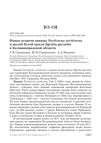 Новые встречи кваквы Nycticorax nycticorax и малой белой цапли Egretta garzetta в Калининградской области