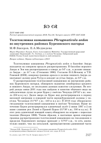 Толстоклювая камышевка Phragmaticola aedon во внутренних районах Буреинского нагорья