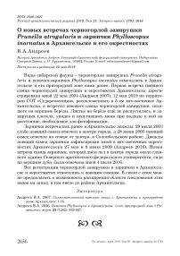 О новых встречах черногорлой завирушки Prunella atrogularis и зарнички Phylloscopus inornatus в Архангельске и его окрестностях