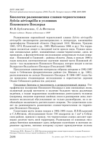 Биология размножения славки-черноголовки Sylvia atricapilla в условиях Псковского Поозерья
