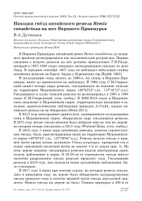 Находки гнёзд китайского ремеза Remiz consobrinus на юге Верхнего Приамурья