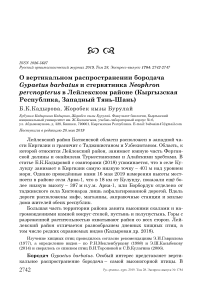 О вертикальном распространении бородача Gypaetus barbatus и стервятника Neophron percnopterus в Лейлекском районе (Кыргызская Республика, Западный Тянь-Шань)