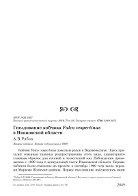 Гнездование кобчика Falco vespertinus в Ивановской области