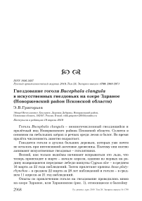 Гнездование гоголя Bucephala clangula в искусственных гнездовьях на озере Здраное (Новоржевский район Псковской области)